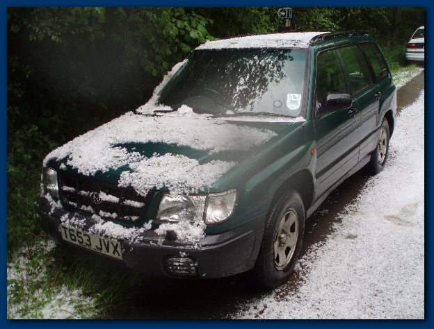 600x449 pixels (141K)